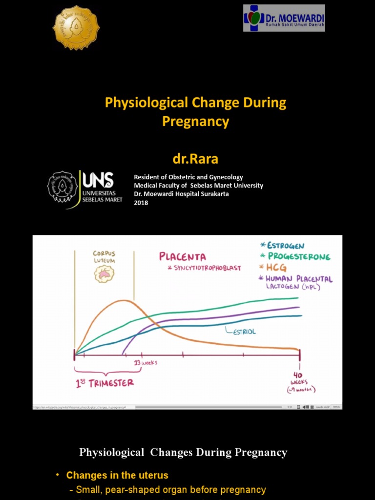 Physiological Changes in Pregnancy | PDF | Pregnancy | Respiratory System
