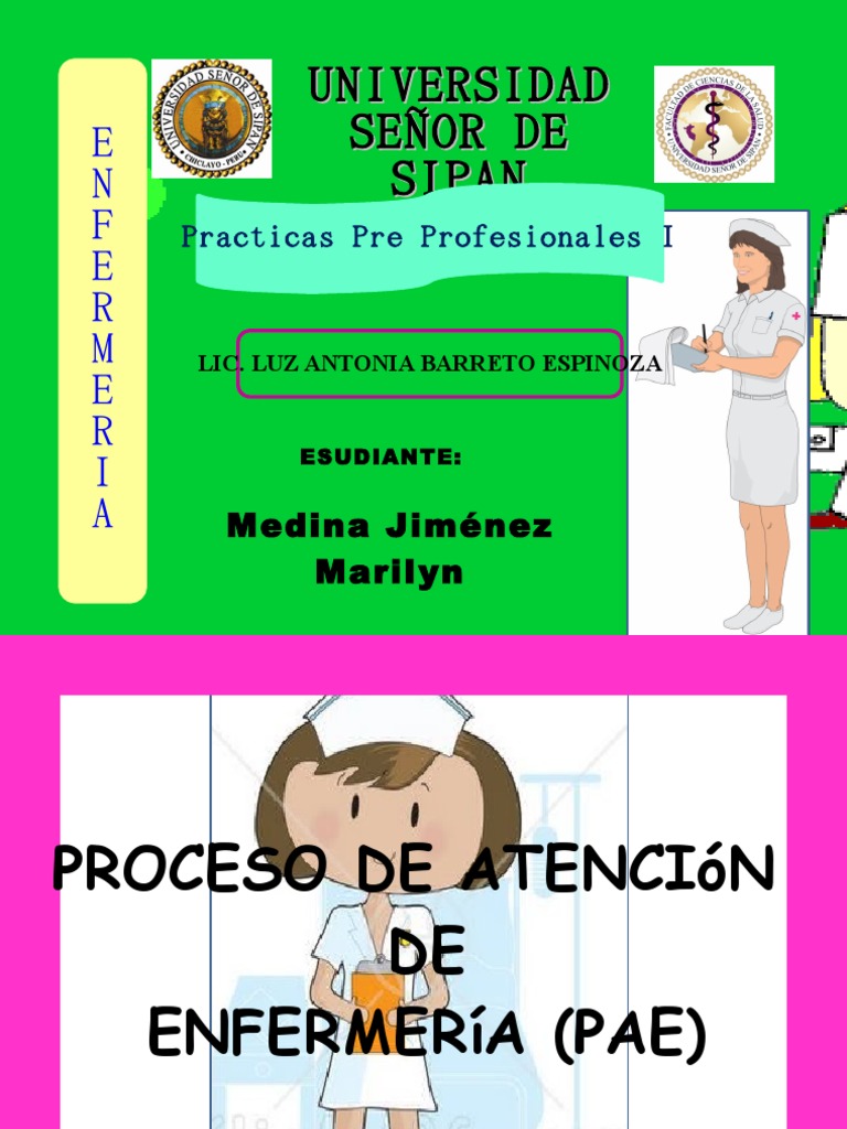 Proceso de Atencion de Enfermeria Enfermería Evaluación