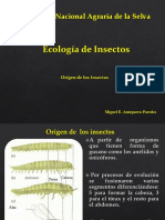 (6) Origen de la Tagmosis de un Insecto