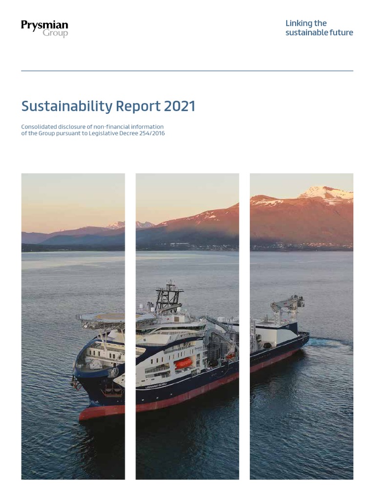 Sustainability Report 2021 | PDF | Sustainability | Governance