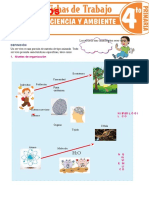 Seres Vivos para Cuarto Grado de Primaria