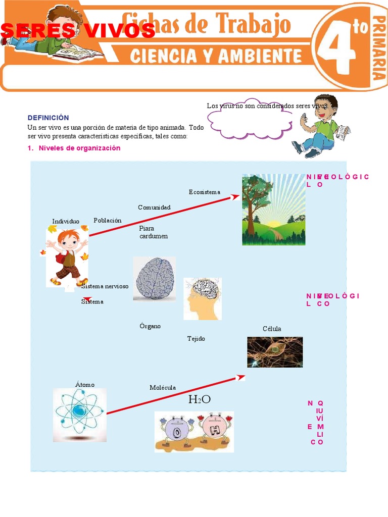 Seres Vivos para Cuarto Grado de Primaria | PDF | Virus | Organismos
