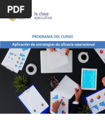 Programa curso Aplicación de estrategias de eficacia operacional