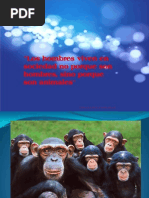 Sociabilidad y Socialización