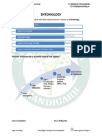 Entomology: Phylum Arthropoda Is Divided Mainly Five Classes