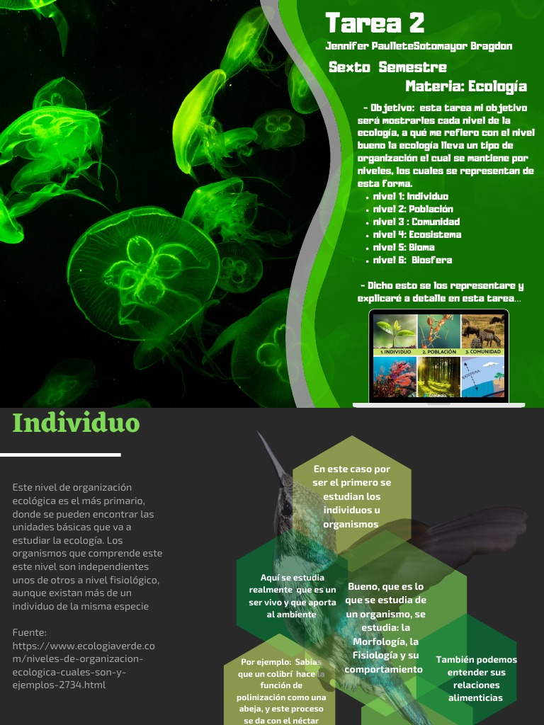 Tarea 2 | PDF | Ecosistema | Ecología