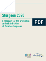 Sturgeon 2020: A Program For The Protection and Rehabilitation of Danube Sturgeons