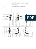 Main Anthropometrical Human Body Physical Dimensions