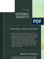 Sistemul Digestiv