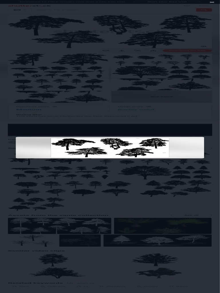 Illustration Trees Set Isolated On White Stock Vector (Royalty Free ...