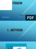 Cell Division: Mitosis and Meiosis