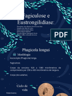 Parasitologia - zoonoses 