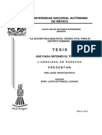 ACCIÓN PAULIANA Código DF, Tesís para Título