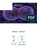 Iii Meiosis