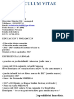 Curriculum Vitae Completo