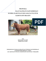 Proposal Sapi Kereman Sragen