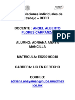 M10 - Relaciones Individuales de Trabajo - Derit: Angel Alberto Flores Carranza