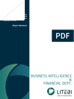 Whitepaper BI and Financial Dept