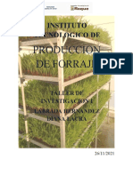 Producción de forraje hidropónico para ganadería sostenible