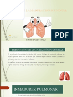 maduracion pulmonar 