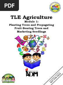 TLE6 Agriculture Module1 Planting Trees and Propagating Fruit Bearing Trees and Marketing Seedlings