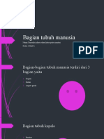 Bagian Tubuh Manusia