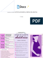 Triptico de Control Prenatal y Datos de Alarma 238654 Downloable 870318