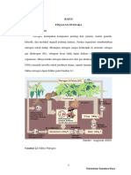 Adoc - Pub Bab II Tinjauan Pustaka Nitrogen Merupakan Kompone