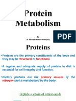 Protein Metabolism: by Dr. Mustafa Kahtan Al-Bayaty