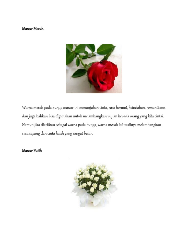 Filosofi dan Arti Bunga Mawar | PDF