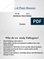 Types of Plant Diseases