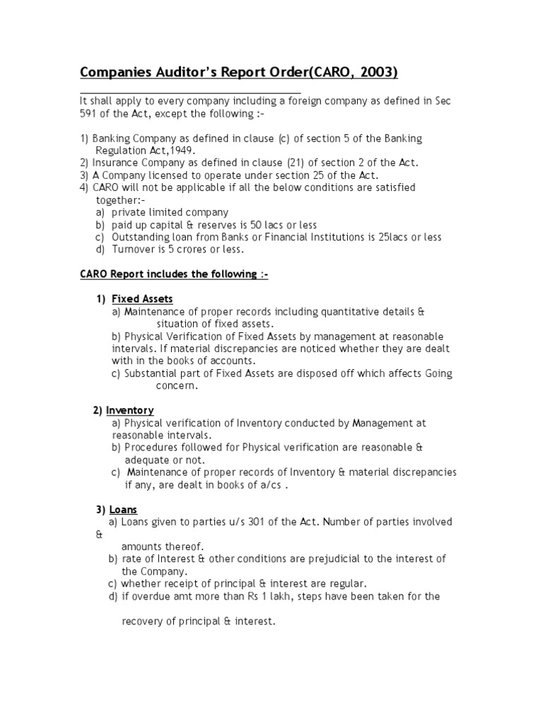 CARO 2003: Auditor's Report Guidelines | PDF