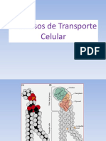 Capítulo-2-Processos-de-transporte-celular