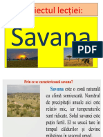 proiect_științe Savana