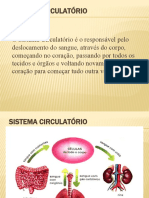 SISTEMA CIRCULATÓRIO