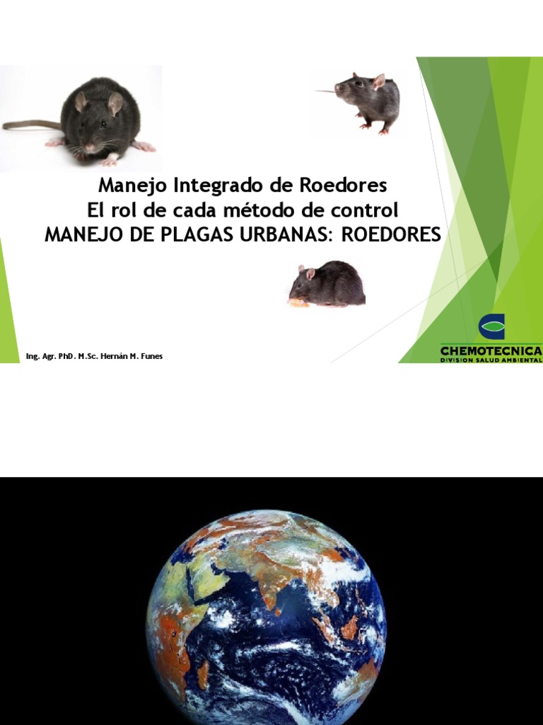 Control Efectivo de Roedores Urbanos | PDF | Roedor | Especialidades ...