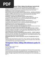 Download Informasi Mengatasi Mata Juling by Aty Akper SN56636971 doc pdf