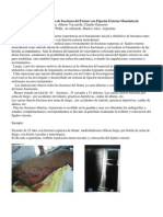 Tratamiento Inicial y Definitivo de Fracturas Del Fémur Con Fijación Externa Monolateral