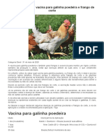 Vacina para galinha poedeira e frango de corte _ Sucesso no Campo
