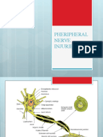 Neuropath I Es