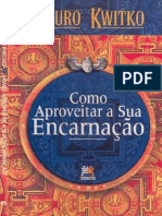 Como Aproveitar A Sua Encarnação - Mauro Kwitko