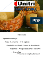Abacaxicultura