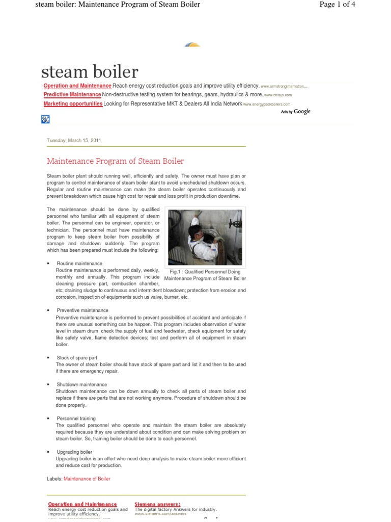 Steam Boiler Maintenance Program Guide | PDF | Boiler | Steam