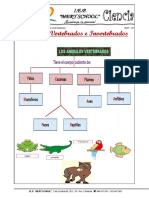 Animales Vertebrados e Invertebrados