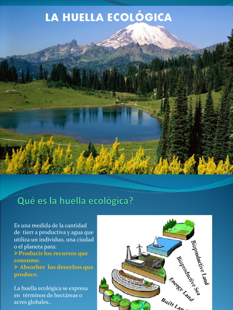 6 - La Huella Ecológica | PDF