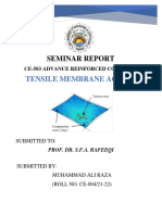 Seminar Report (Muhammad Ali Raza - CE - 004)
