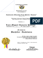 Graduado de Bachillerato Académico en Colombia