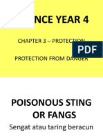 Science Year 4: Chapter 3 - Protection Protection From Danger