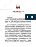 Resolucion Directoral n2 - 2022 - Ef