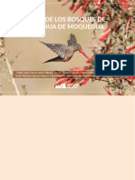 Aves de Los Bosques de Quenua de Moquegua